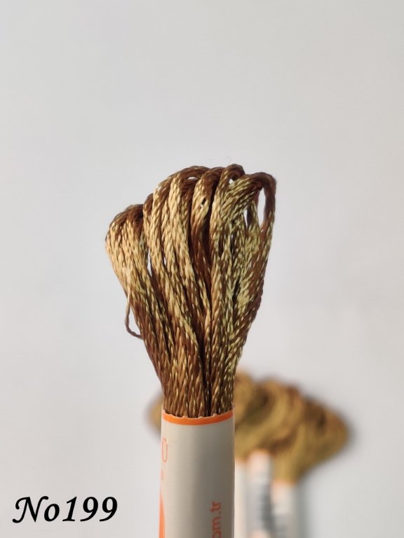 199 (DMC612) (1) (Medium)